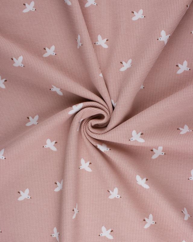 Knitted Wafle seagull Powder Pink - Tissushop