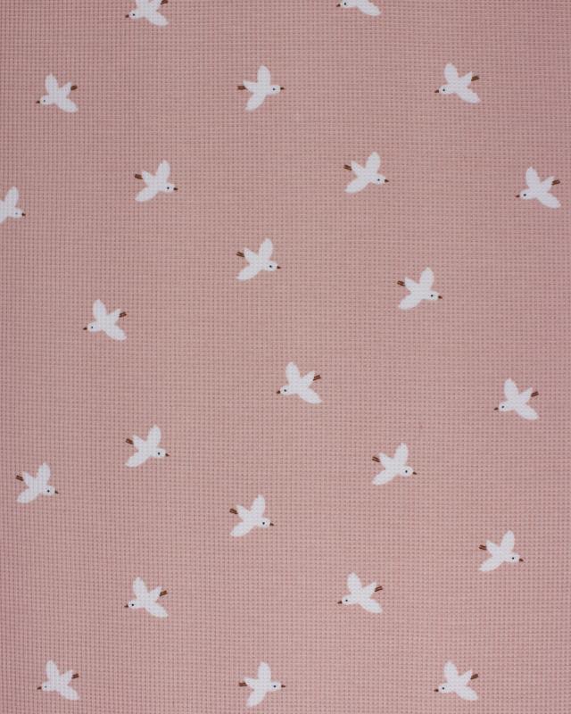 Knitted Wafle seagull Powder Pink - Tissushop