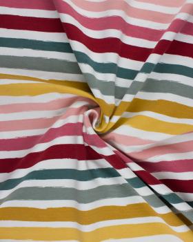Jersey French Terry Degradees stripes Multicolore - Tissushop